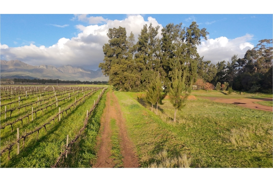 0 Bedroom Property for Sale in Klein Nederburg Western Cape